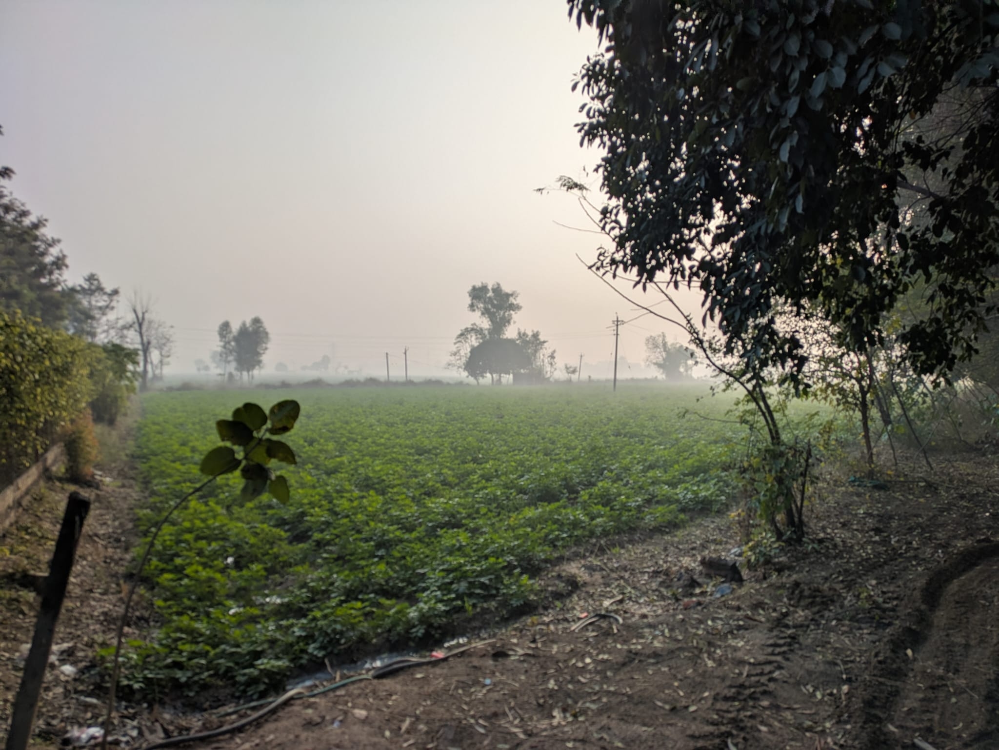 punjab