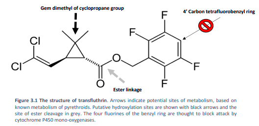 tft_metabolism