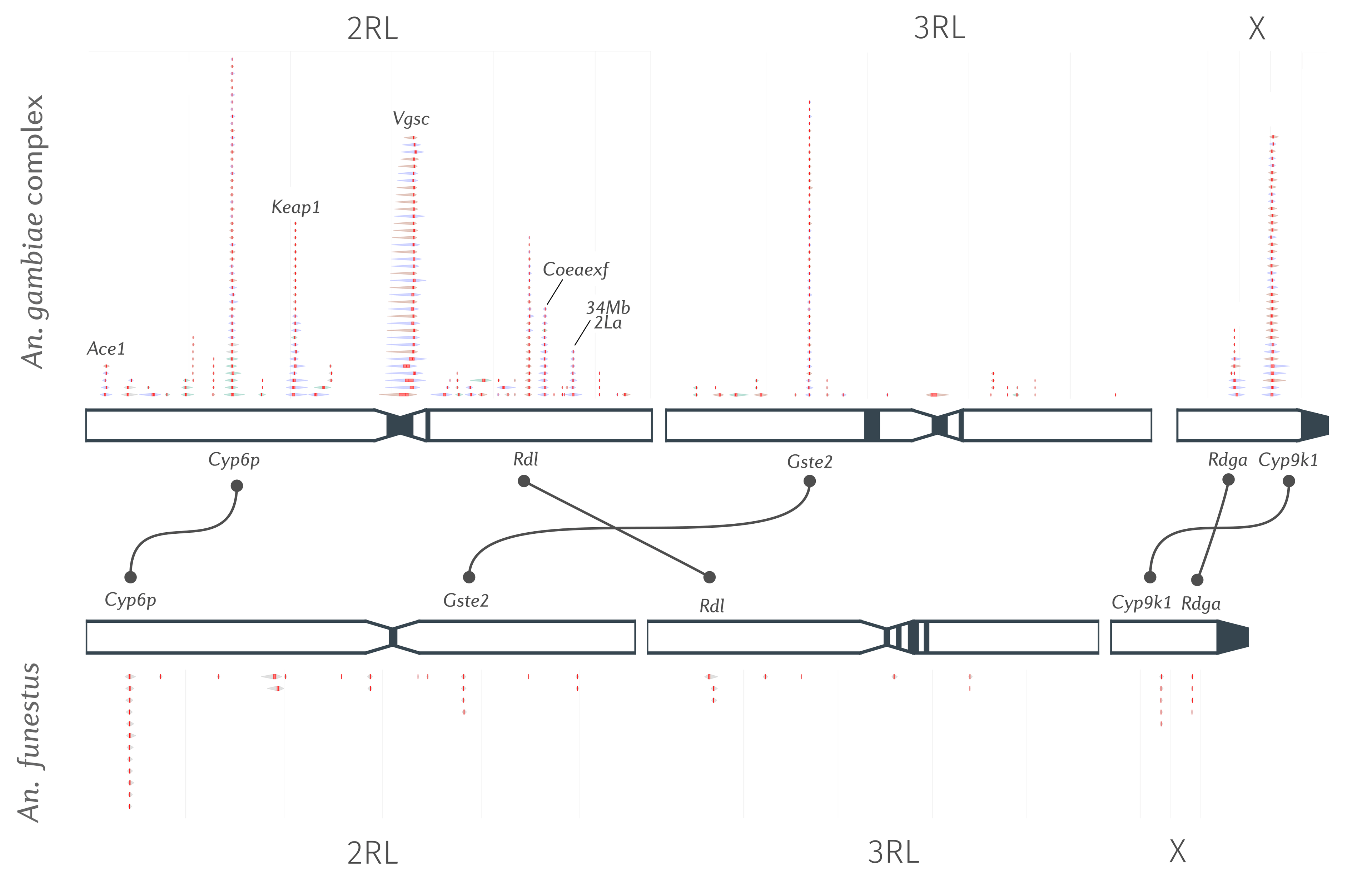 selection atlas signals
